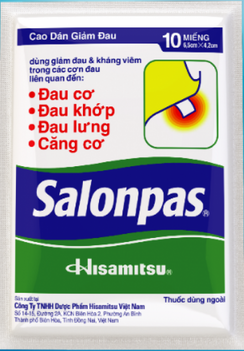 Salonpas Hisamitsu Pain Relief Patches 12x1 lembar